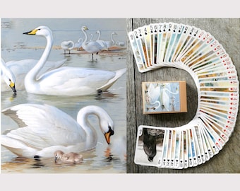 Terracarta Museum Quality Playing Cards