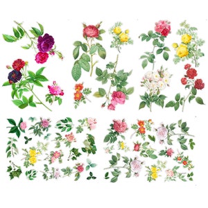 FLOWER ROSES Large Vinyl Stickers (over 40 stickers) Vintage Flowers, Roses and Greenery / Waterproof Decals 449-004