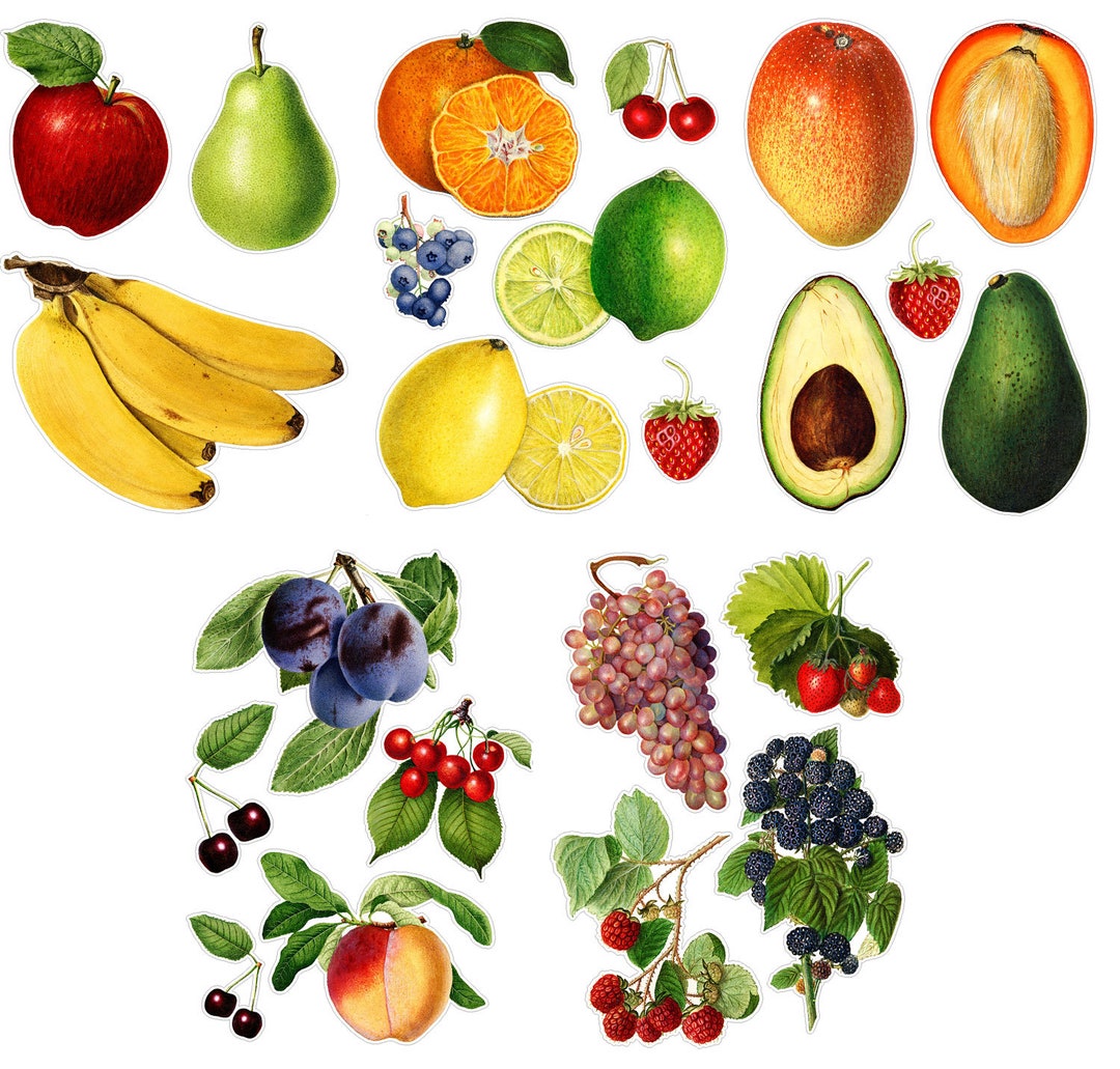 REALISTIC FRUITS Large Vinyl Stickers over 20 Large Stickers Vintage