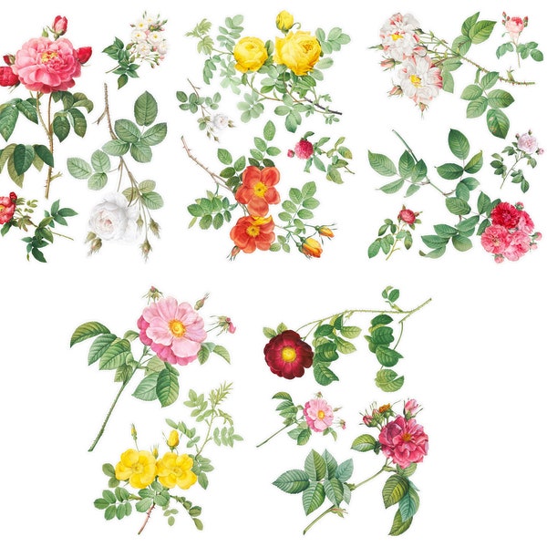 FLOWER ROSES Large Vinyl Stickers (over 40 stickers) Vintage Flowers, Roses and Greenery / Waterproof Decals 449-017