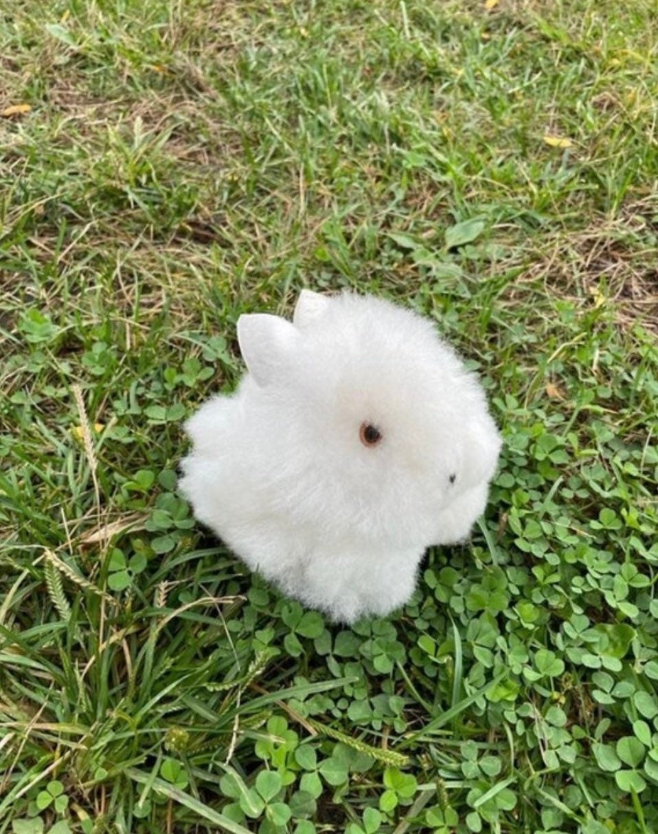 Bunny Alpaca Bunny Stuffed Animal Alpaca Toy Soft Handmade - Etsy