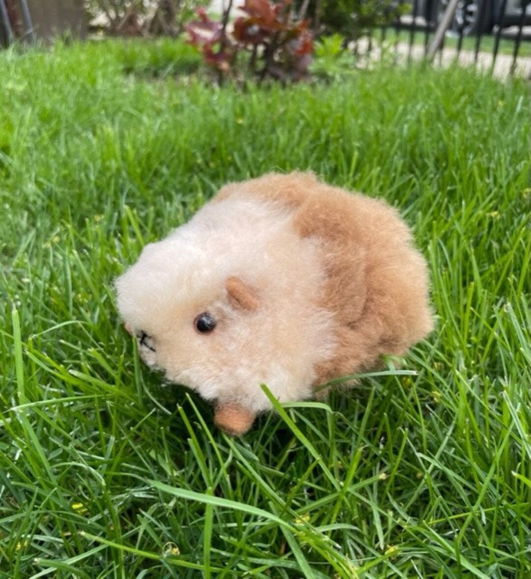 Baby Alpaca Guinea Pig, Stuffed Animal, Handmade, Guinea Pig Etsy