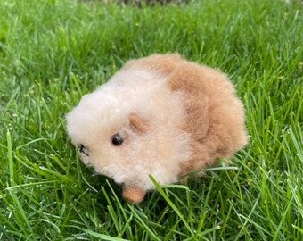 Baby Alpaca guinea pig, stuffed animal, handmade, guinea pig