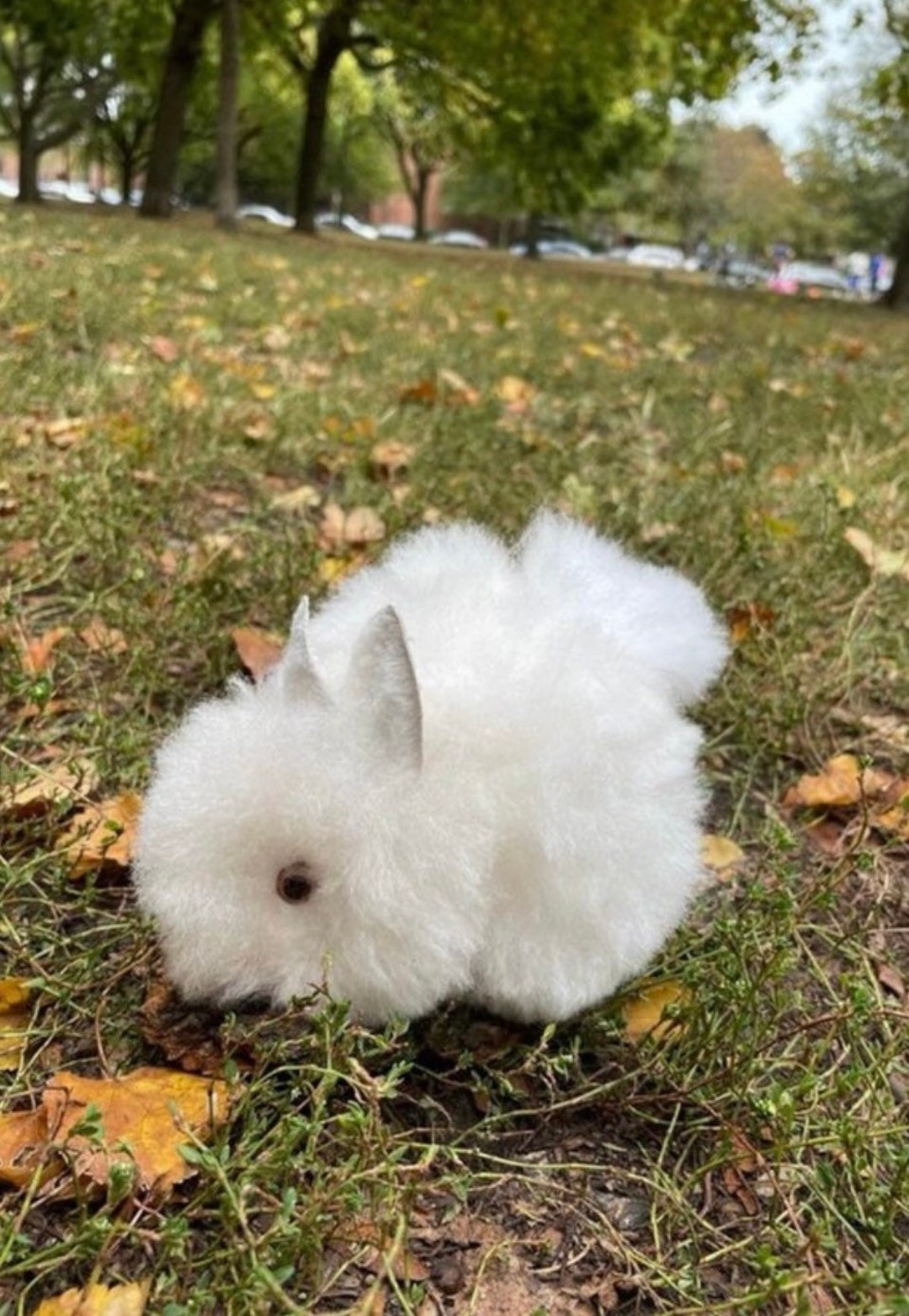 Bunny Alpaca Bunny Stuffed Animal Alpaca Toy Soft Handmade - Etsy