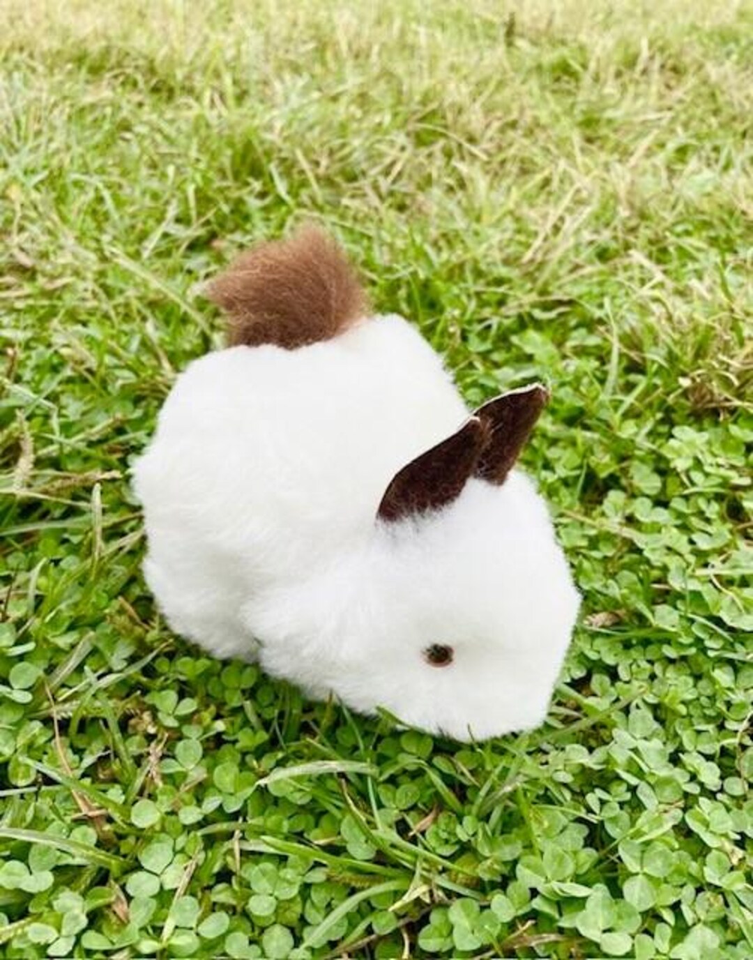 White Bunny With Brown Ears, Real Alpaca Bunny, Stuffed Animal, Alpaca ...
