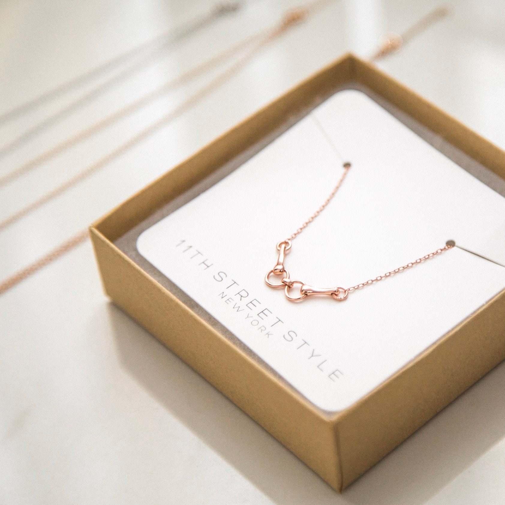THE HORSEBIT NECKLACE main image 1