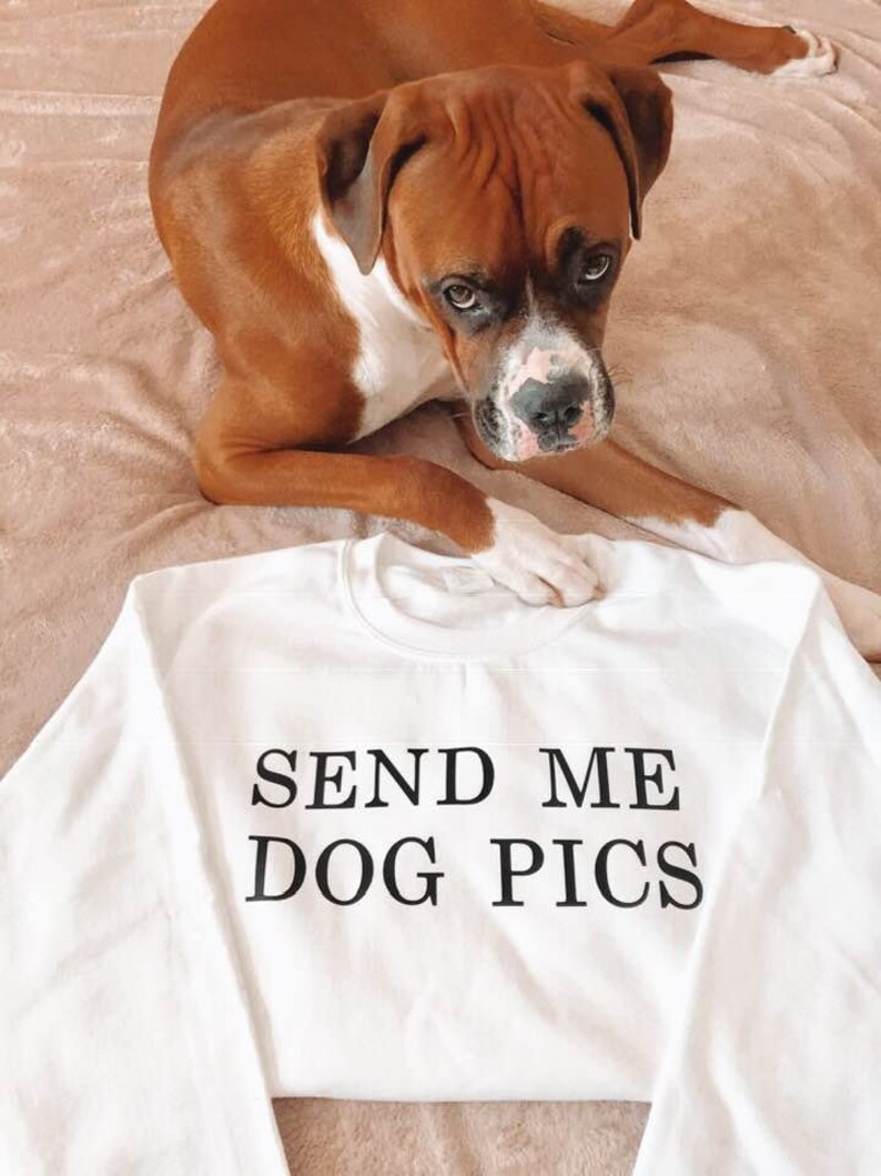 send a dog a gift