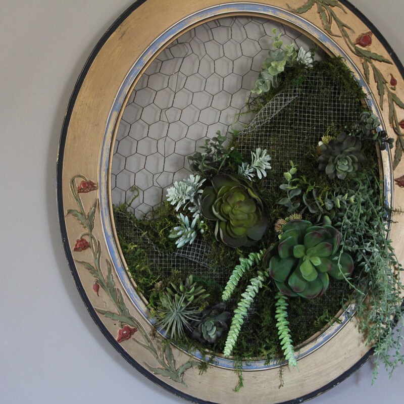 View of Hanging Succulent - Etsy