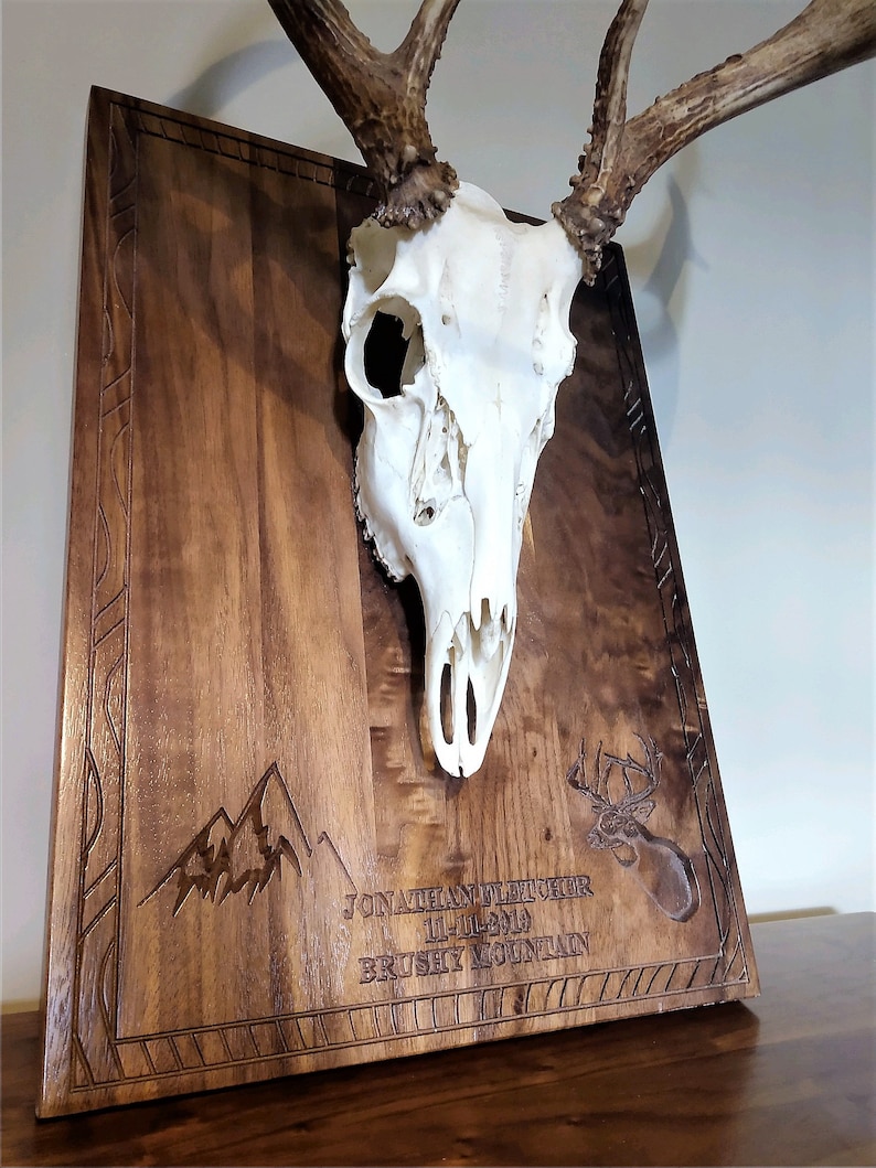 Custom deer mount/game/trophy/skull mount/ plaque Etsy