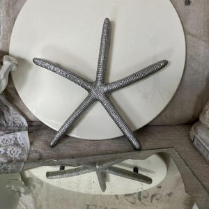 Puede incluir: Una decoración de estrella de mar plateada con detalles texturizados. La estrella de mar está sobre una superficie blanca y redonda. También se ve un reflejo de la estrella de mar.