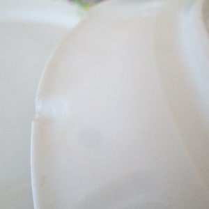 May include: A close-up of a white ceramic plate with a small chip on the edge.