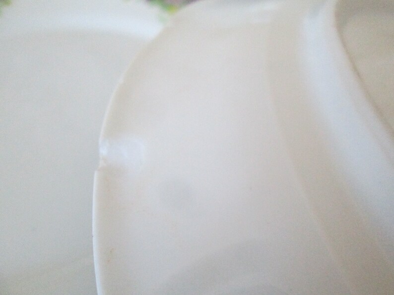 May include: A close-up of a white ceramic plate with a small chip on the edge.