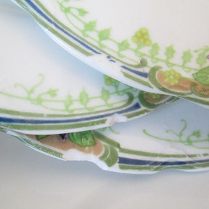 May include: Two white ceramic plates with a green, blue, and yellow floral design. The plates are stacked on top of each other and have a chipped edge.