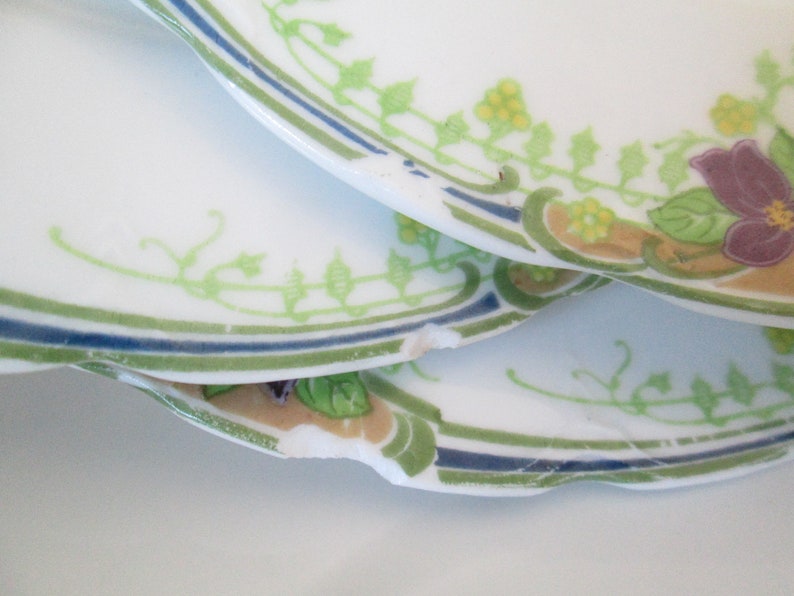 May include: Two white ceramic plates with a green, blue, and yellow floral design. The plates are stacked on top of each other and have a chipped edge.