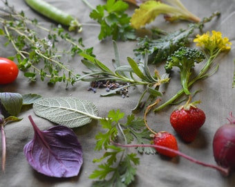 N O U R I S H  Herbal Photography | Natural Food Photography | Kitchen Photo | Plant Photo | Cooking Photography