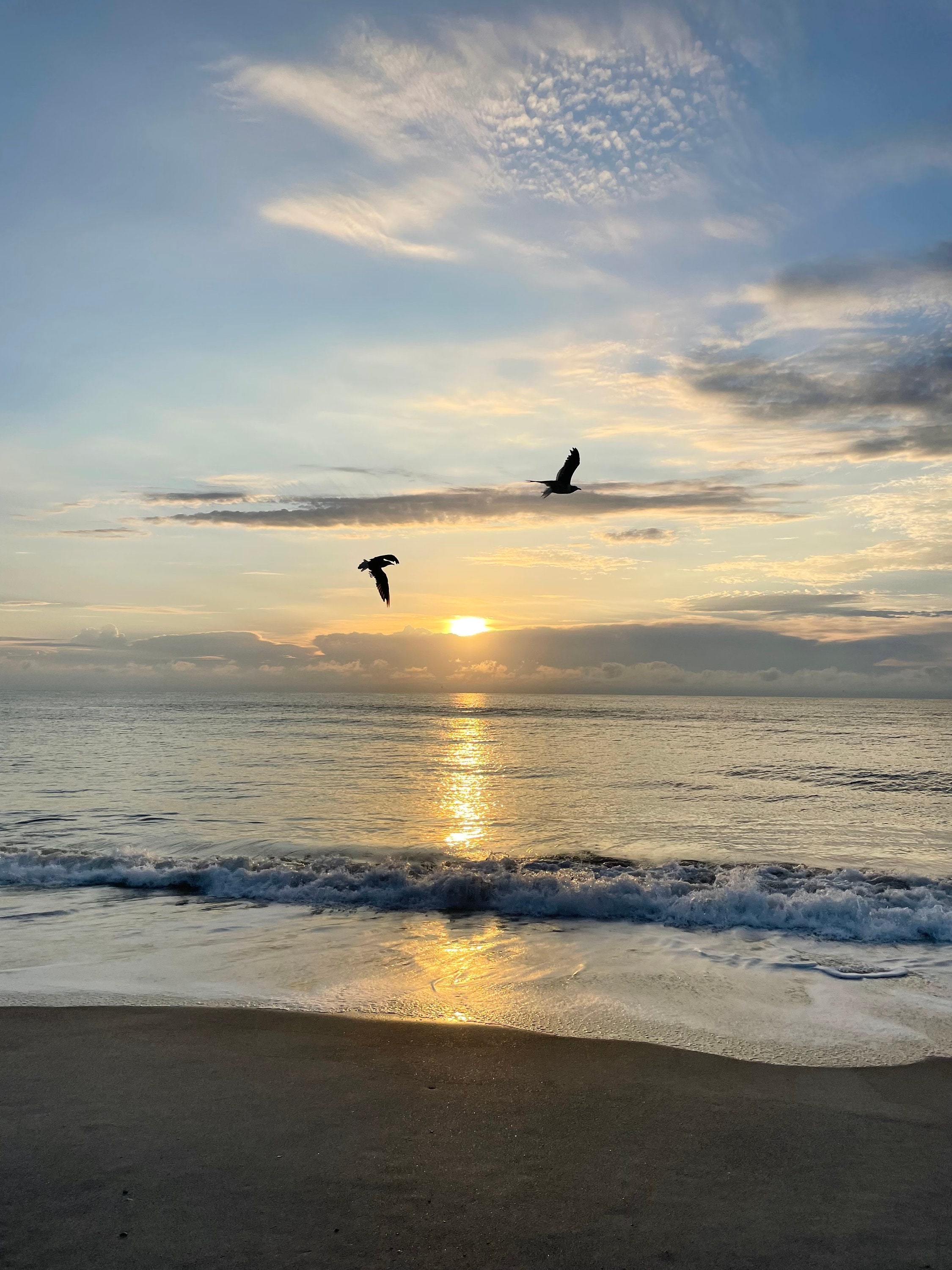 Wings and Waves | Ocean Sunrise Digital Photo | Birds on the Beach Photo | Sunrise Beach Photography | Digital Beach Photo | Soothing Ocean