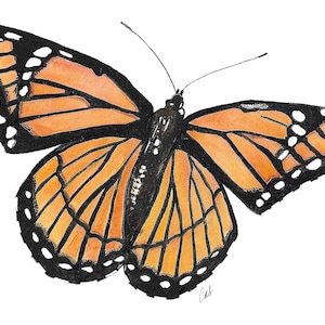 Butterfly Wall Art | Viceroy Monarch BUTTERFLY Watercolor Wall Art  | Printable Butterfly Wall Art  |  Instant Digital Download