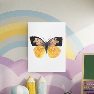 Butterfly Wall Art | Male California DOGFACE BUTTERFLY Watercolor Wall Art  | Printable Butterfly Wall Art  |  Instant Digital Download