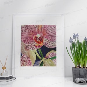 Pink Orchid Painting Watercolor Print