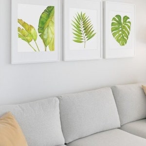 SET of 3 Botanical Plants Banana Leaf, Palm, and Monstera Leaf Watercolor PRINTABLES | Tropical Leaf Printable Wall Art | Digital Download