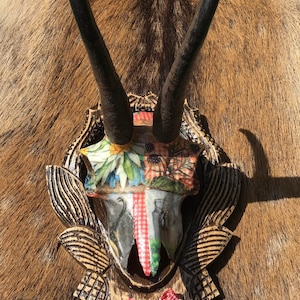 May include: A decorative taxidermy mount featuring a skull with large, curved black horns. The skull is adorned with floral and gingham patterns, and a red and white gingham bow. The mount is set against a brown fur background.