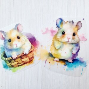 Könnte beinhalten: Zwei Aquarell-Illustrationen von Hamstern. Ein Hamster sitzt in einem braunen Weidenkorb vor einem bunten Aquarellhintergrund. Der andere Hamster steht auf einem blauen und gelben Aquarellhintergrund.