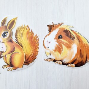 Könnte beinhalten: Ein braunes und weißes Meerschweinchen mit roter Nase und ein braunes und gelbes Eichhörnchen, das eine Nuss hält.