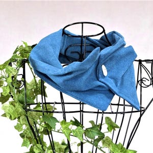 Può includere: Una sciarpa a collo alto blu teal con chiusura a bottone. La sciarpa è realizzata in un tessuto morbido ed è esposta su un supporto in metallo nero con edera verde. La sciarpa è progettata per essere indossata intorno al collo.