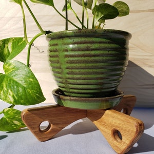 May include: A green ceramic plant pot with a ribbed design, holding a leafy green plant, sits on a wooden plant stand. The stand has a natural wood finish and a unique, geometric design with circular cutouts.