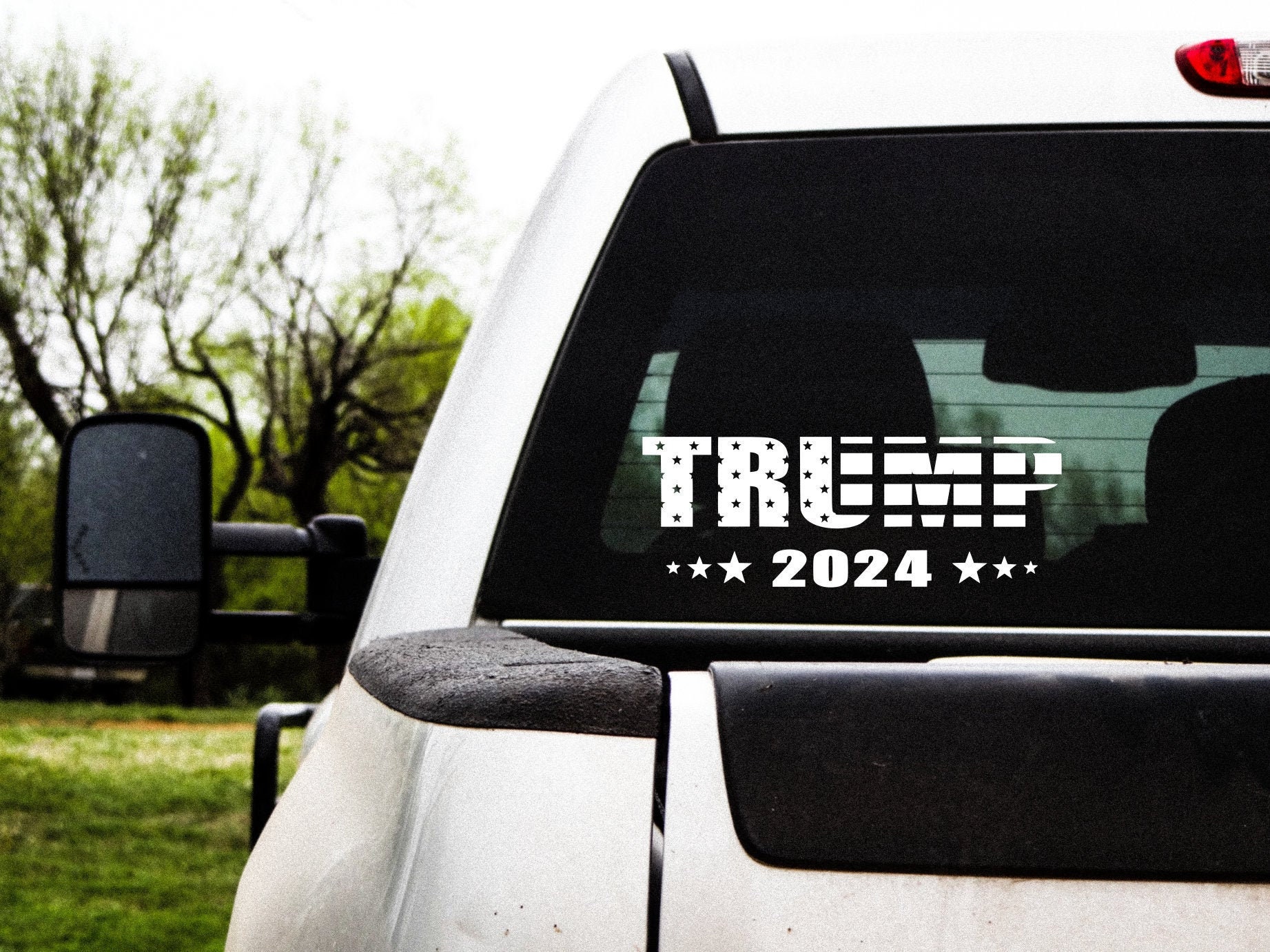 2020 Trump car sticker passenger side window. life size adhesive back 