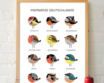 Piepmätze Deutschlands - A3 Poster