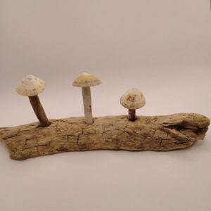 Setas de madera flotante para interior/exterior