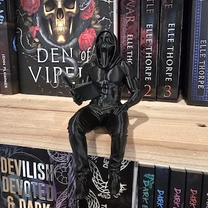 Peut inclure: Une figurine noire d'une figure encapuchonnée, tenant un livre, perchée sur une étagère de livres. La figurine a un physique musclé et porte une cape à capuche. Les livres ont des titres comme "Den of Vipers" et "Dark Desires".