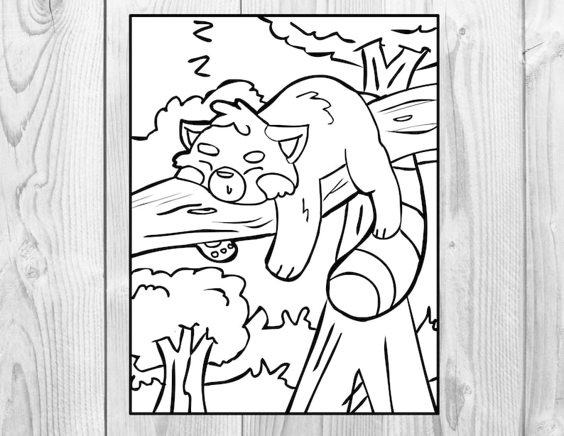 red panda coloring page printable digital download for