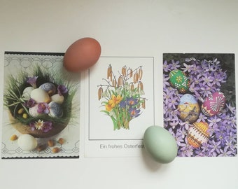Neu Ei Und Narzisse 3 Oster Postkarten  Altes Motiv 
