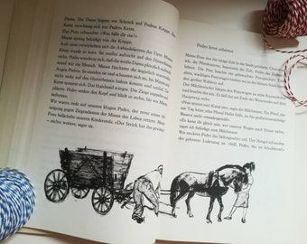 Pony Pedro Erwin Strittmatter Hans Baltzer DDR Kinderbuch Kinderbuchverlag Berlin 1959 Buch Geschichte Pferde Kinder