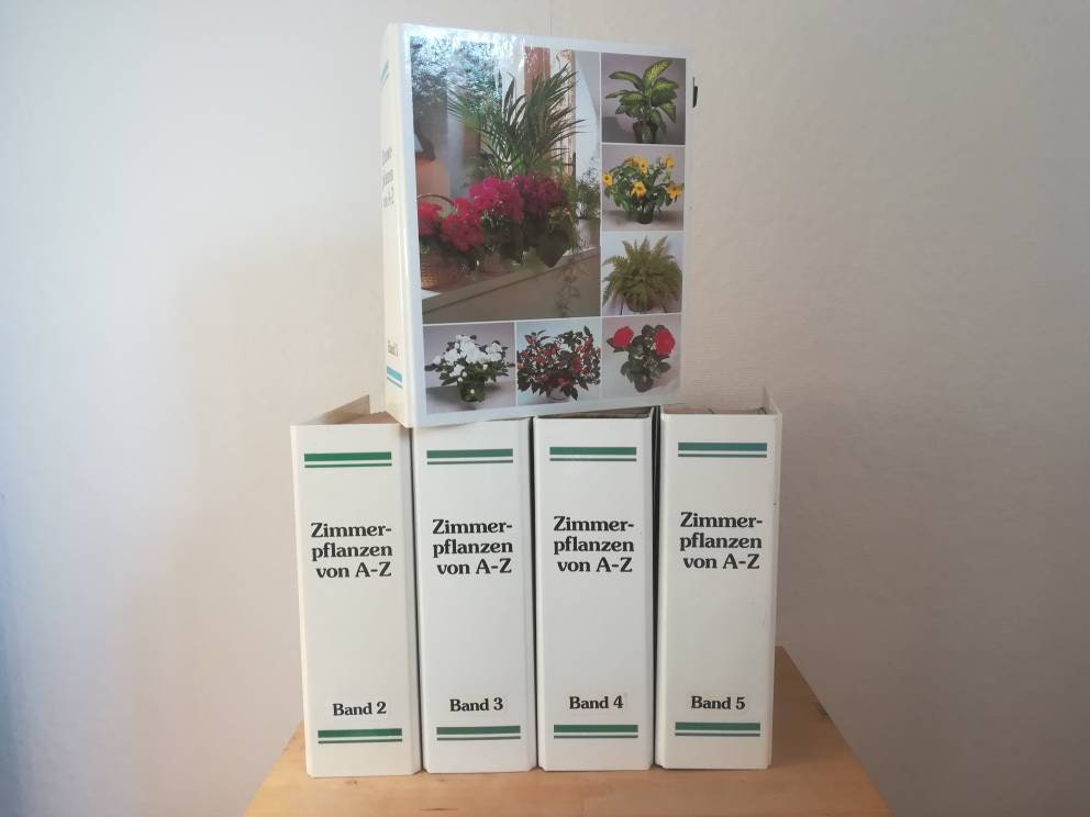 Les Plantes D Intérieur De A à Z Pdf