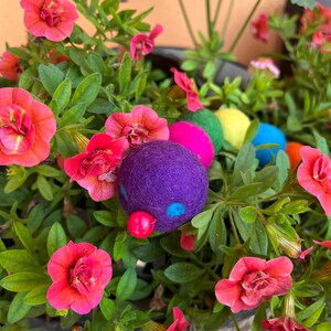 Puede incluir: Un juguete de oruga de fieltro colorido con una cabeza morada y una nariz roja, rodeado de flores rosas.