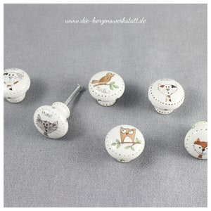 Può includere: Sei pomelli in ceramica bianca con diversi disegni di animali. I pomelli presentano un gatto, un gufo, un uccello, una volpe e altri due gatti. I pomelli sono decorati con dettagli dipinti a mano e hanno uno sfondo bianco.