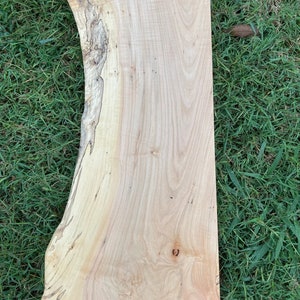 Sycamore live edge table top