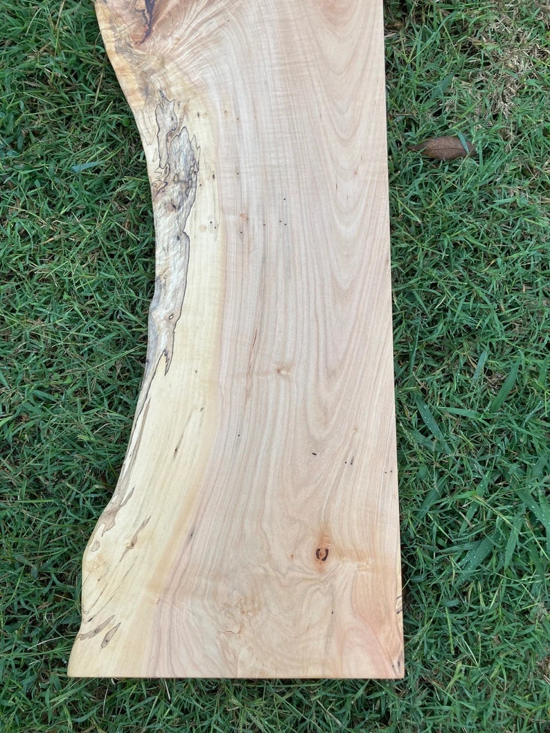 Sycamore live edge table top