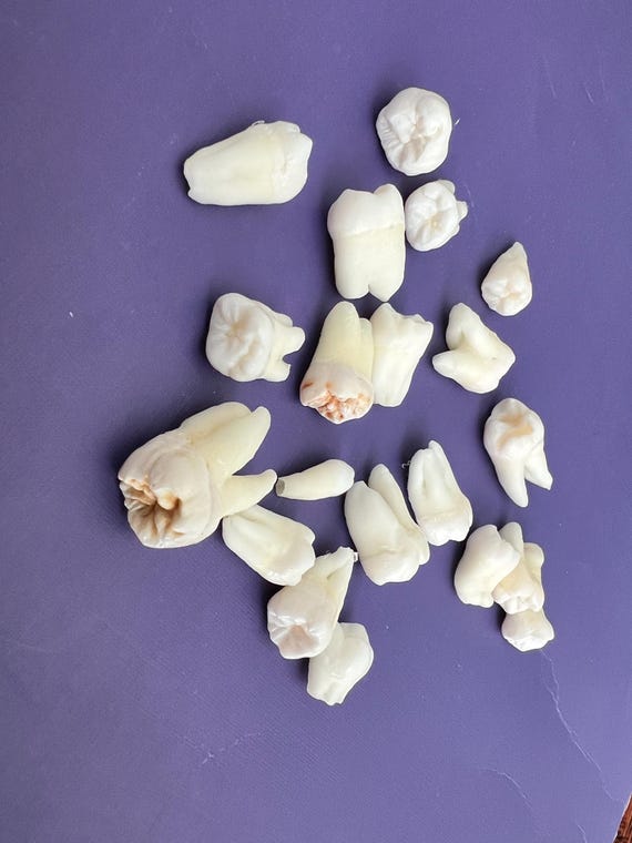 Lot of 20 Real Human Teeth