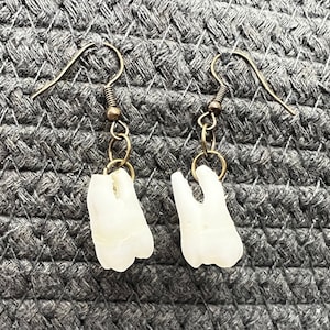 Pair of Real Human Tooth Earrings