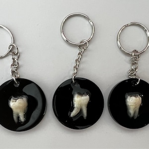 Real Human Tooth Key Chain or Ornament