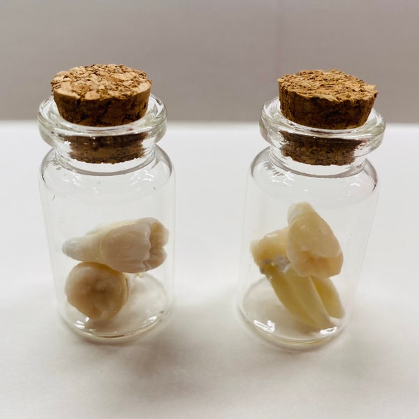 One (1x) Glass vial with 2 Real Human Teeth
