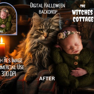 Halloween Newborn Digital Backdrop | Halloween Digital Backdrop | Newborn Digital Backdrop Halloween | Halloween Backdrop | Halloween Prop
