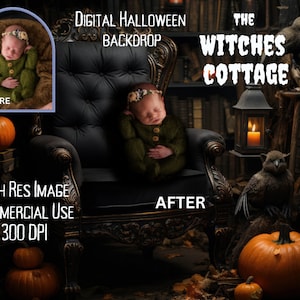 Halloween Newborn Digital Backdrop | Halloween Digital Background | Newborn Digital Backdrop | Digital Newborn Backdrop | Halloween Digital