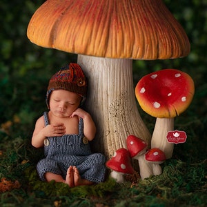 Magical Toadstool Digital Newborn Backdrop - Fairy Village Baby Digital Backdrop Background for Newborn Photographers Baby Boy or Girl