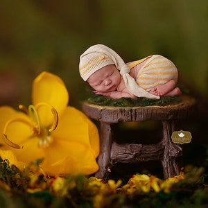 Spring Dreaming - Digital Backdrop