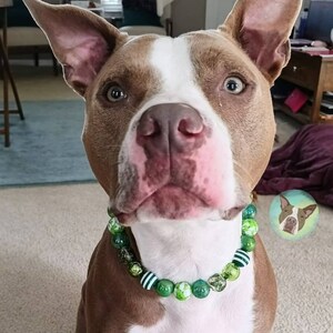 Shades Of Green - Beaded Dog Collar, Martingale, Big Dog, Unbreakable, High Tensile Strength, O Ring, Slip On, image 5